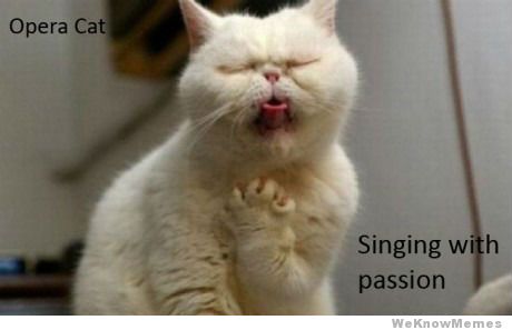 opera-cat-singing-with-passion